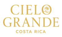 TEXT LOGO